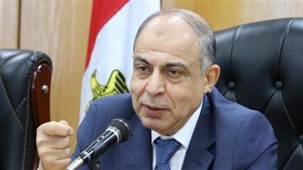 محافظ المنيا