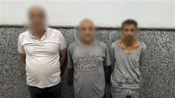 تشكيل عصابي متخصص