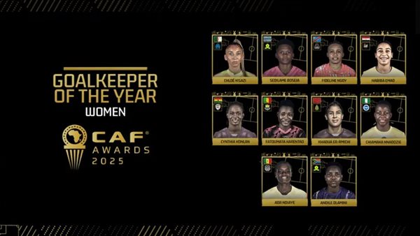 أفضل حارس في أفريقيا