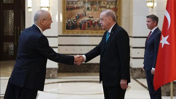 أردوغان وسفير مصر
