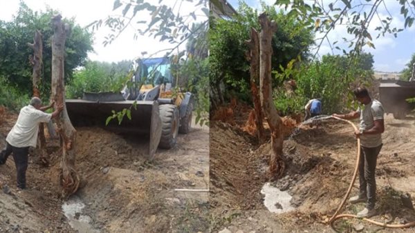 توسعة شارع أبو قير