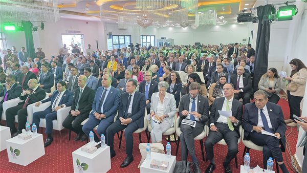 فعاليات المهرجان