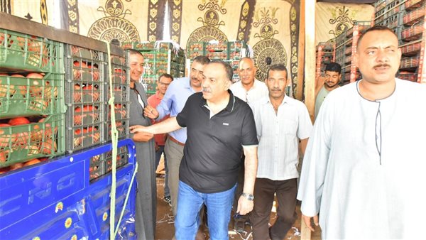 محافظ أسيوط يتابع