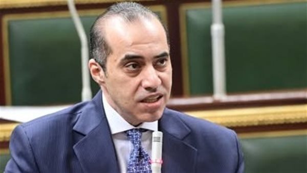  المستشار محمود فوزي