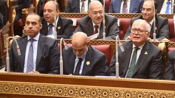 وزير الشؤون النيابية