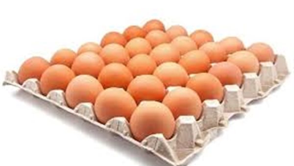 استقرار سعر البيض