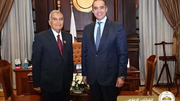  المستشار محمود فوزي