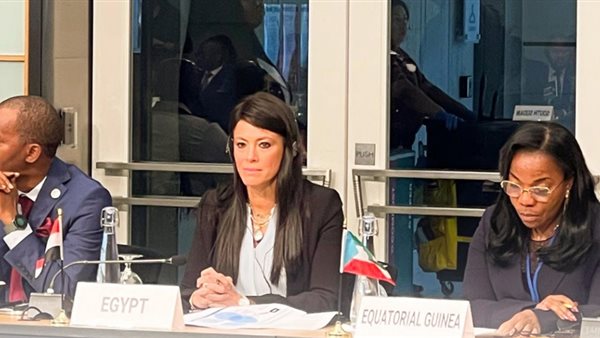 وزيرة التخطيط والتنمية