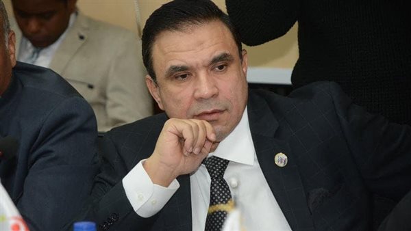  المهندس مدحت بركات،