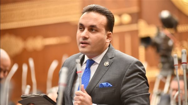 النائب عمرو فهمي