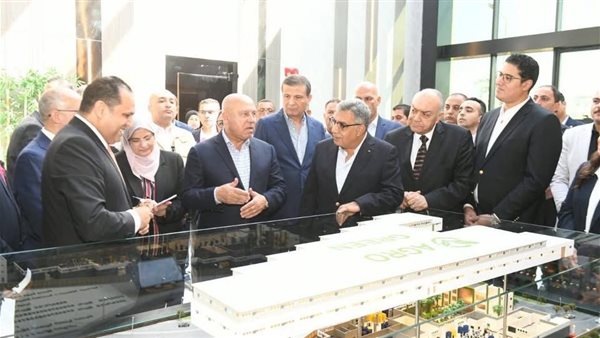 محافظ الدقهلية