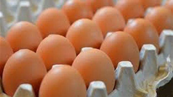 سعر البيض الأحمر