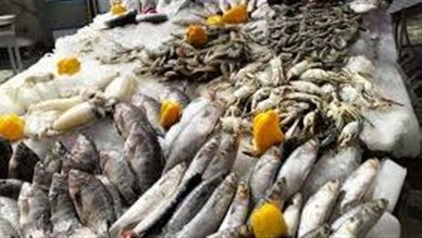 أسعار السمك اليوم