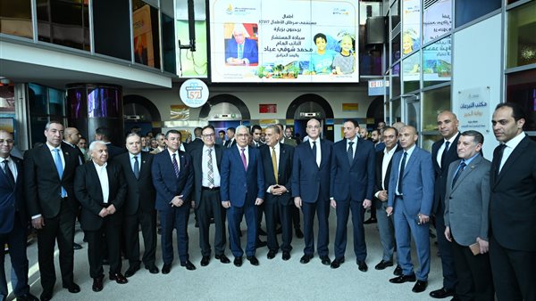   المستشار محمد شوقي