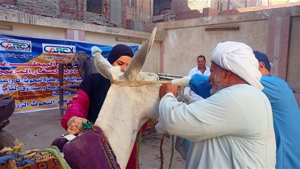 قافلة بيطرية مجانية