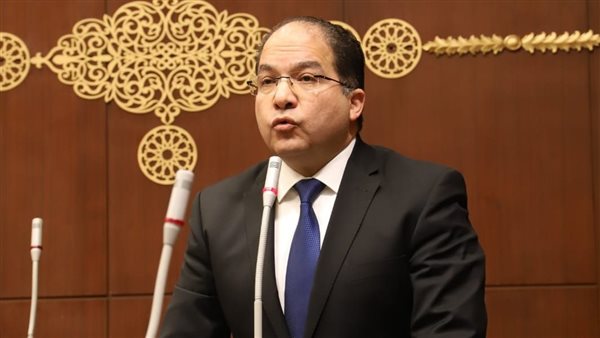 النائب عادل اللمعي