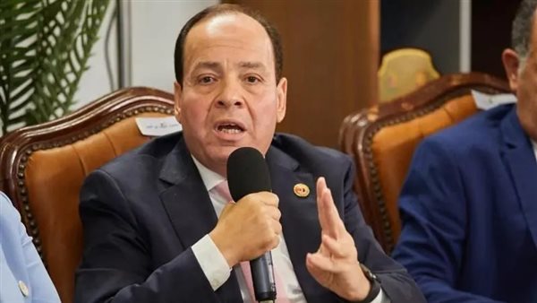 أشرف أبو النصر