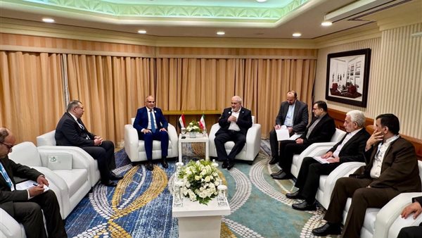 الدكتور هانى سويلم