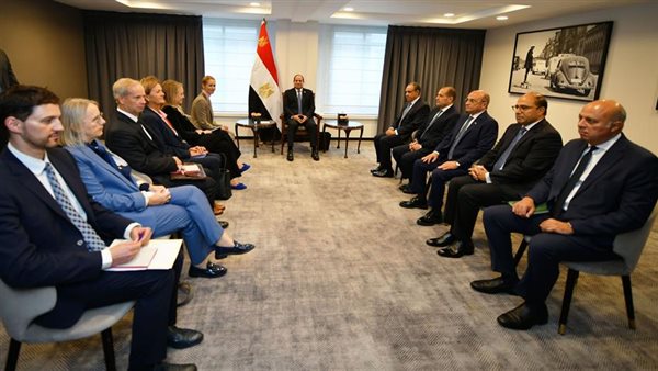 الرئيس السيسي خلال