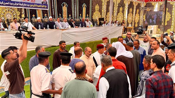 صورة توضيحية 