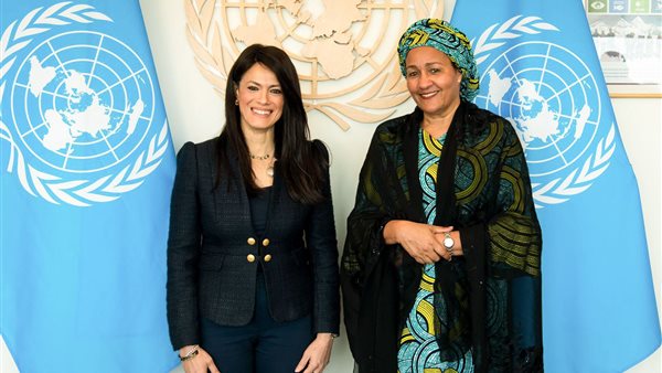 وزيرة التخطيط