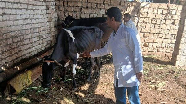 حماية الثروة الحيوانية