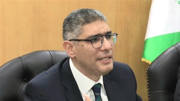 محافظ الجيزة 