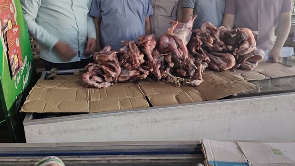 حملات رقابية  