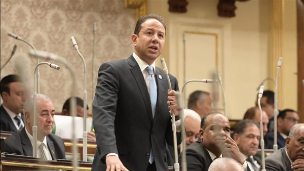 النائب حسن عمار،