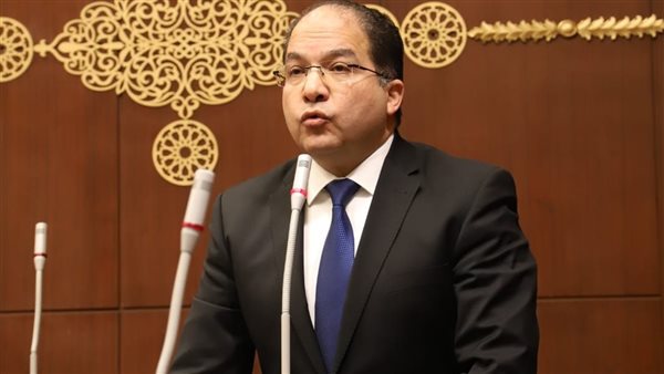 النائب عادل لمعي