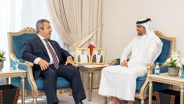 السفير المصري يلتقي
