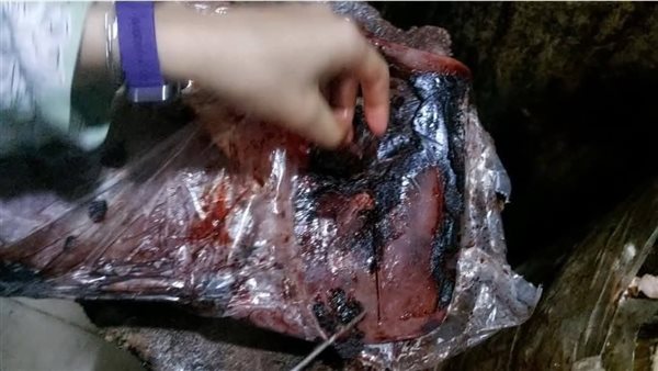 تحرير 538 محضرًا