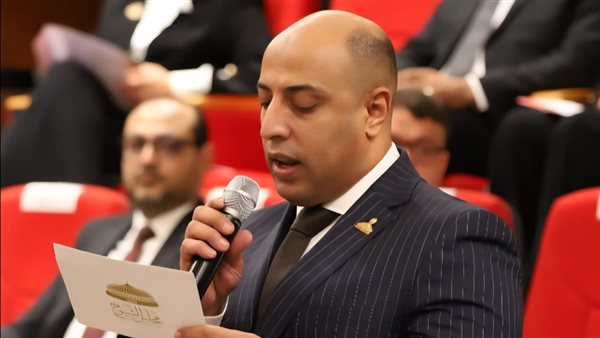  محمد السيد ثابت،