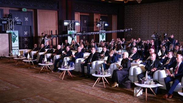 وزير قطاع الأعمال