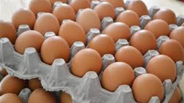  سعر كرتونة البيض