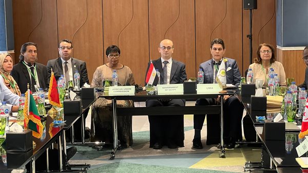 وزارة الصحة والسكان