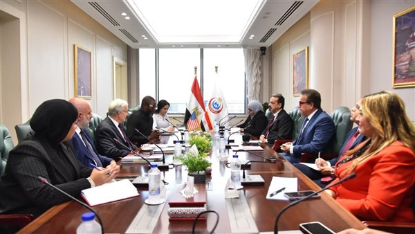 نائب رئيس مجلس الوزراء