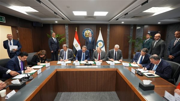 المهندس كريم بدوي