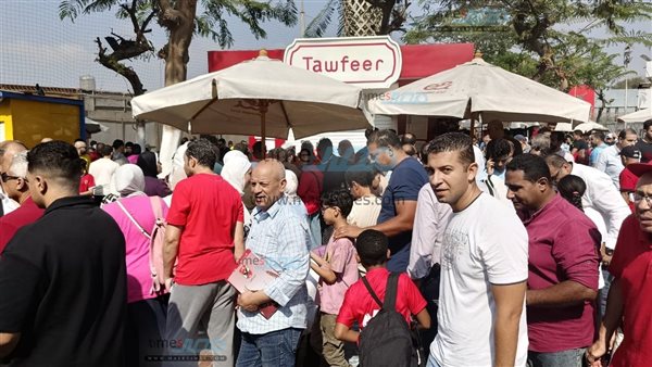 محمد الدماطي