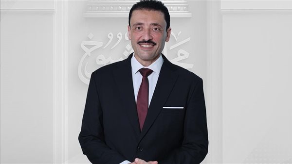 النائب محمد رزق