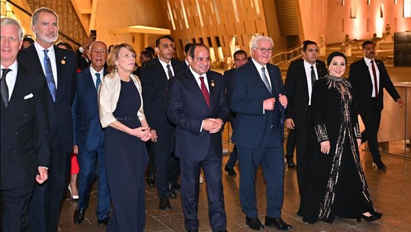  الرئيس المصري عبد