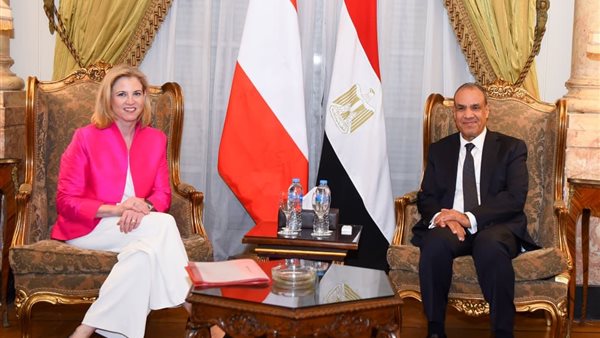 بدر عبد العاطي وزير