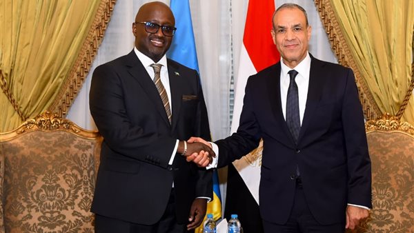 الدكتور بدر عبد العاطي