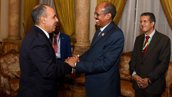 وزير الخارجية المصري