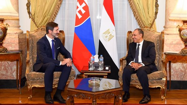 بدر عبد العاطي