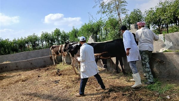 مديريات الطب البيطري