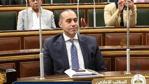 المستشار محمود فوزي