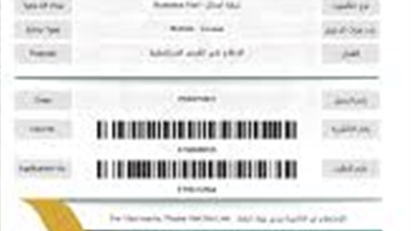 تأشيرة السعودية الإلكترونية: