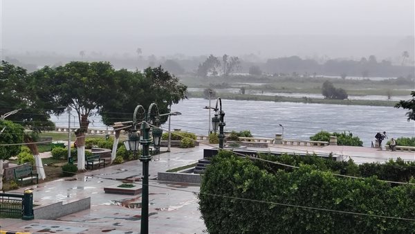 صورة توضيحية 