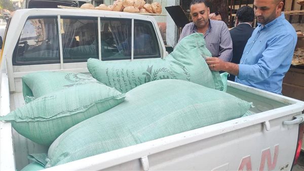 صورة توضيحية 